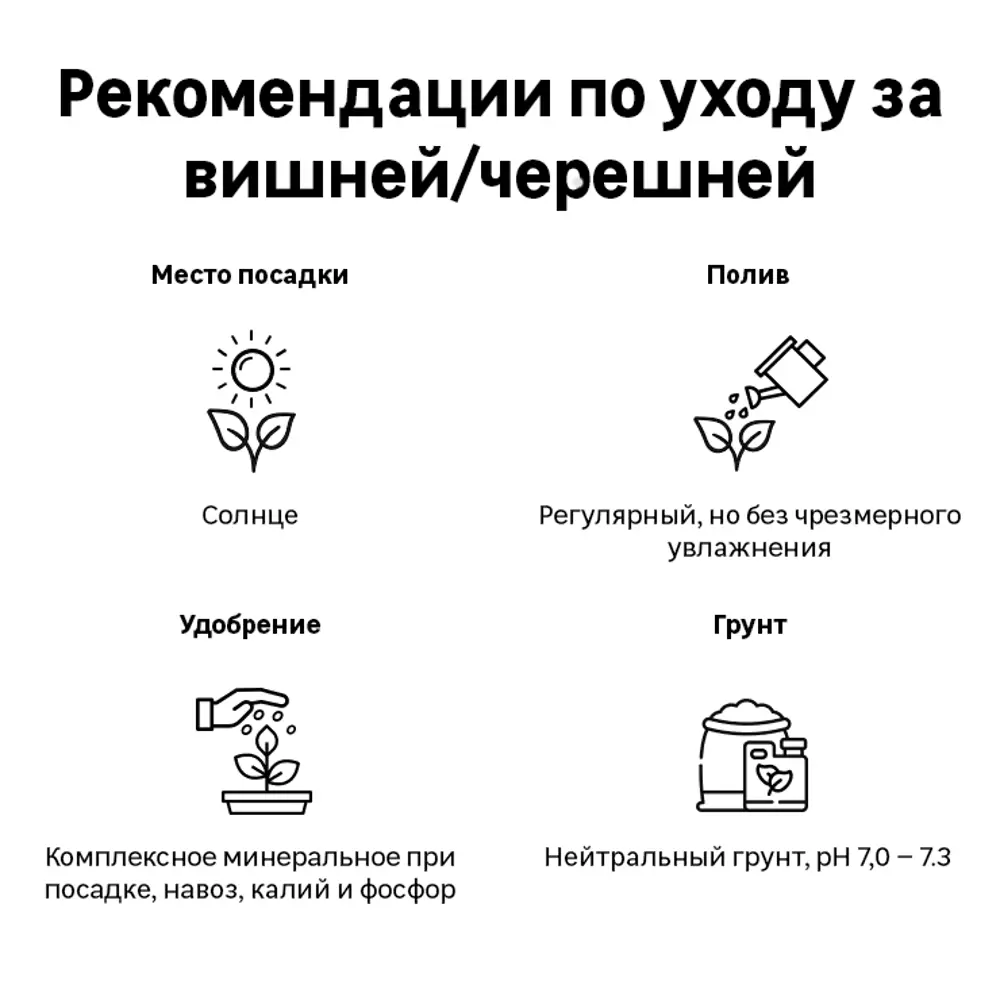 Дюк «Чудо-вишня» 2 года 24x80 см 82625422 STLM-2087052 PLANTMARKET  - Вид №1