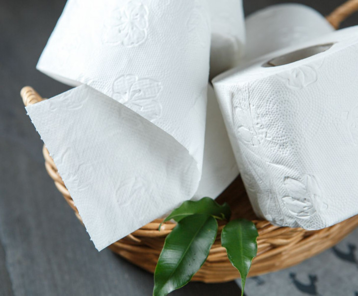 8609 Туалетная Бумага Plushe Deluxe Light "Классическая" 4 рулона Вкусляндия  - Вид №1