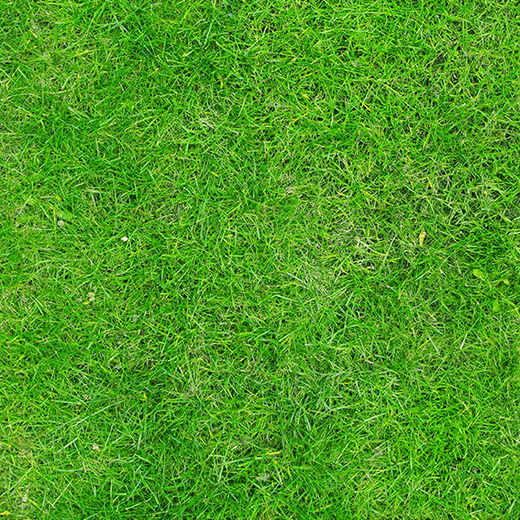 C1-238 Фотообои DIVINO Collection C 2.7х2 м C1238