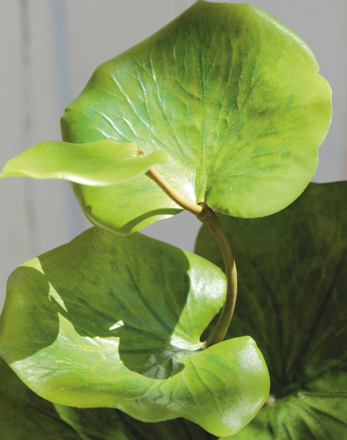 5388 883 a3 Стебель искусственного эвкалипта, 40 см, зеленый H-andreas  - Вид №1