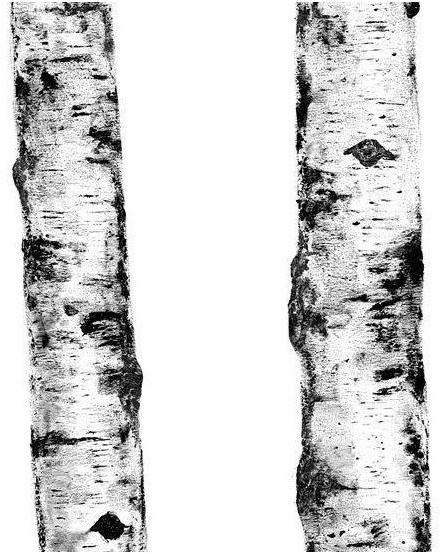 COTTO D'ESTE Покрытие керамогранита Wonderwall sun-id-1351662 - Вид №5