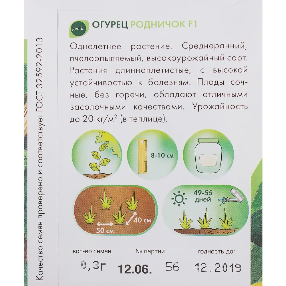 Семена огурца Geolia «Родничок» F1 - высокоурожайный сорт для засолки 17584840 STLM-1478965 - Вид №2