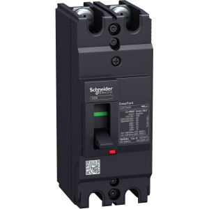 EZC100H2032 Силовой автомат EZC 100, TM-D, 30кА, 2P, 32А Schneider Electric EasyPact