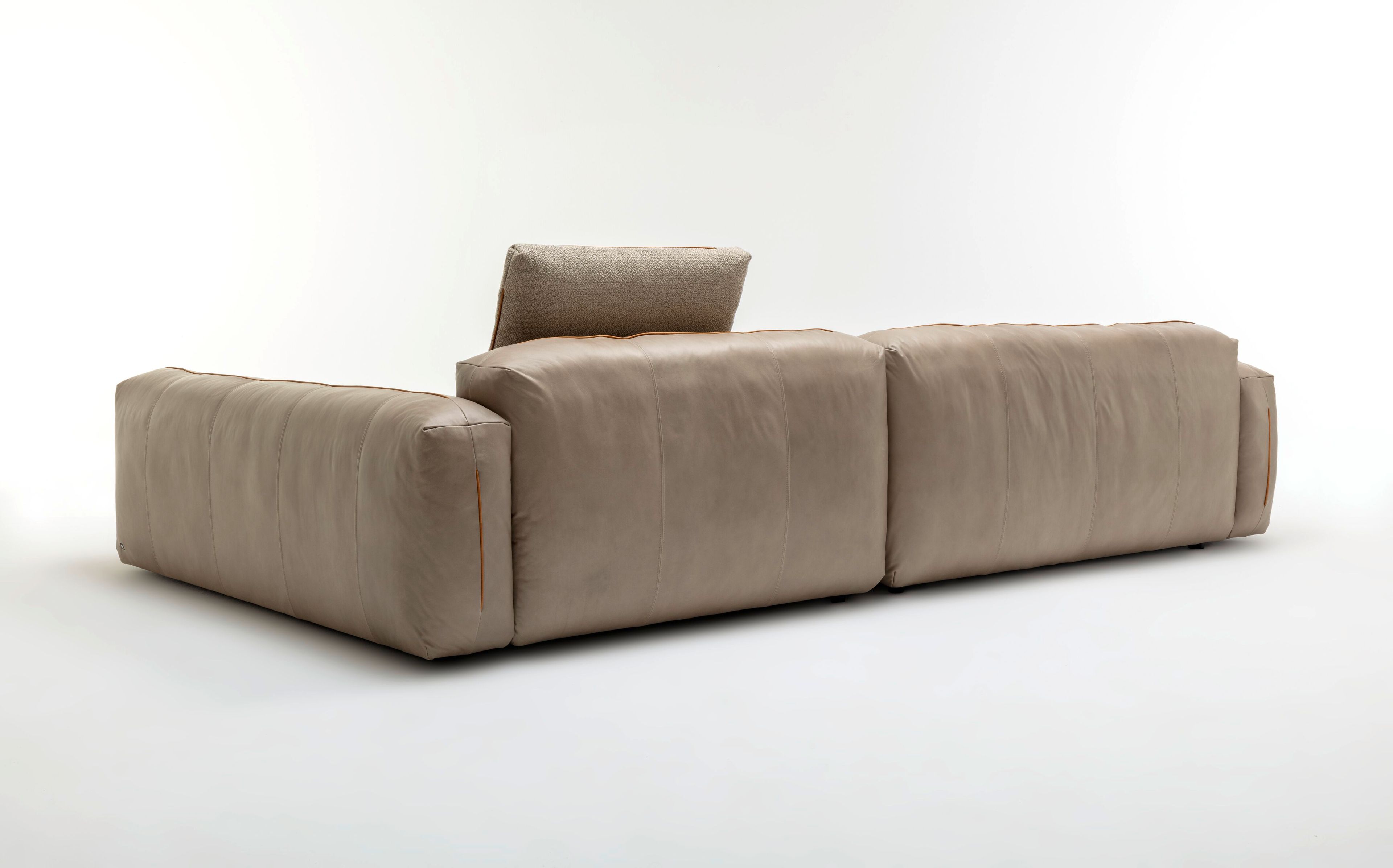 Кожаный диван Rolf Benz ROLF BENZ MOYO ARCH-00072126 - Вид №1