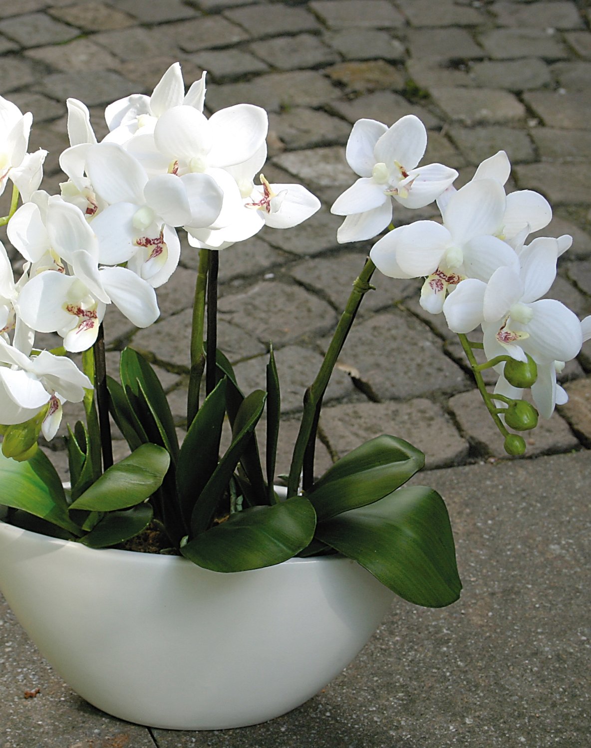 2609 777 a3 Пластиковая орхидея Phalaenopsis, 3-х кратная, в чаше, 38 см, real touch, белая H-andreas  - Вид №8