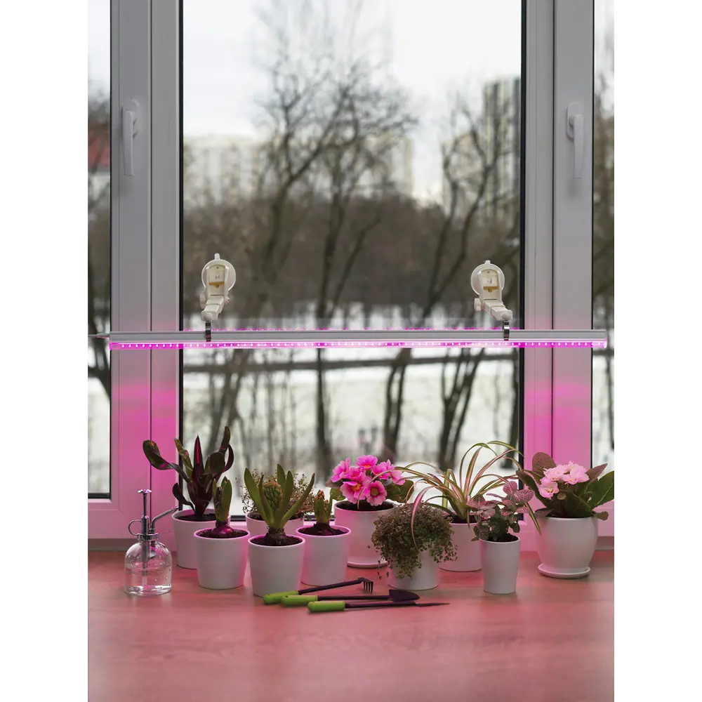 Телескопические кронштейны Ritter с присосками для фитоламп 85336796 STLM-0061769 - Вид №19