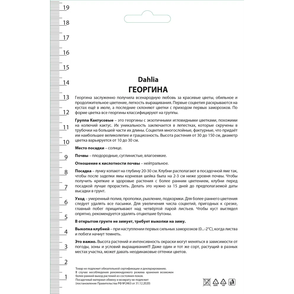 Георгины кактусовые Разноцветные фонарики микс, 3 шт ПОИСК STLM-2087102