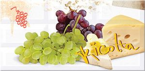 ВОГ Рикотта Декор 40,5*20,1