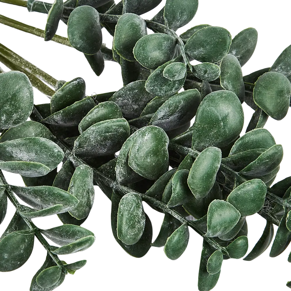 88455064 Искусственное растение Эвкалипт 34x15 см пластик цвет темно-зеленый STLM-0817655 Santreyd  - Вид №1