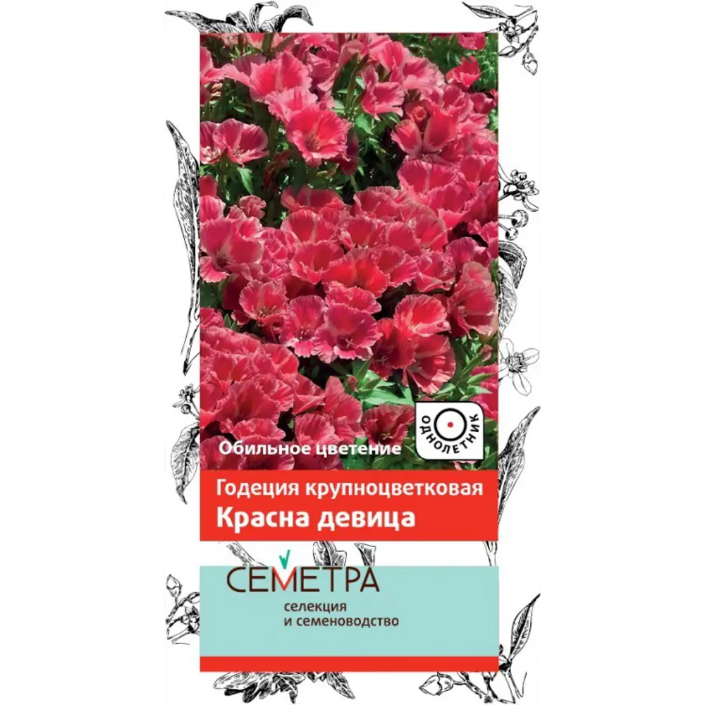Семена Годеция крупноцветковая «Красна Девица» 83147201 STLM-2031130 ПОИСК 