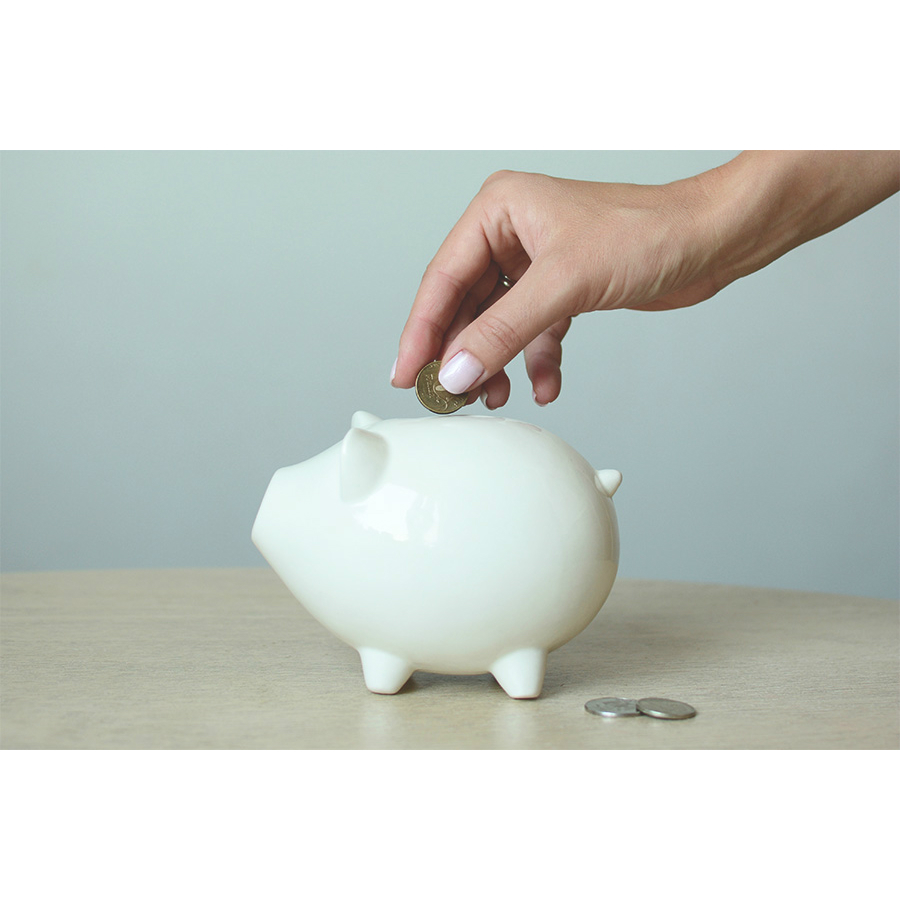 PIG-1-01 Сувенир «свинка-копилка» Экочеловеки  - Вид №2