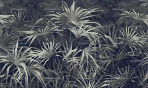 Тропические обои ПВХ бесплатно, экологически чистые, моющиеся