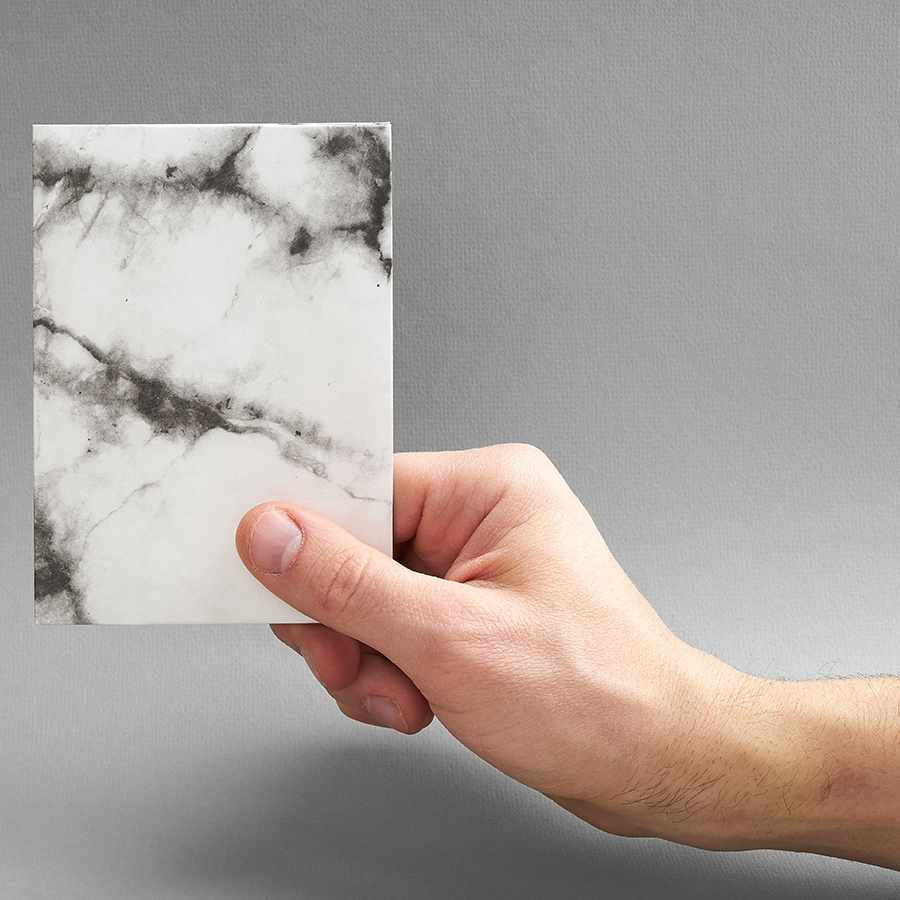 NC-124 Обложка на паспорт - new moonlight; сделан из tyvek® New wallet  - Вид №4