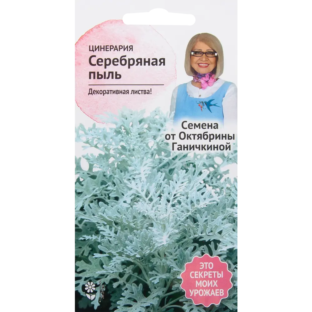Цинерария «Серебряная пыль» 0.1 г 82481661 STLM-2094046 СЕМЕНА ОТ ОКТЯБРИНЫ ГАНИЧКИНОЙ 