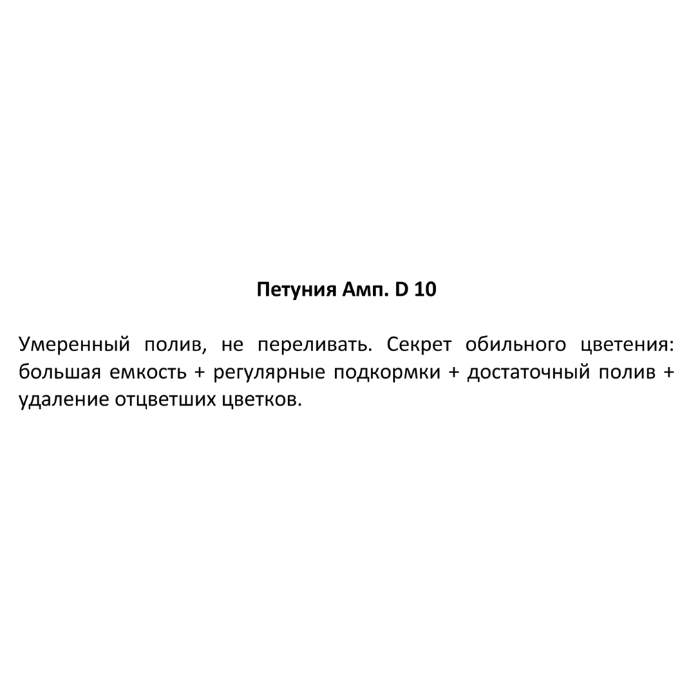 Петуния ампельная ø10 h20 см 83248423 STLM-2022113 Santreyd  - Вид №2