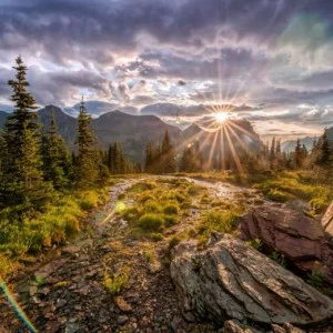 WP02029 Фотообои Verol Фотообои decoline 1х1 м