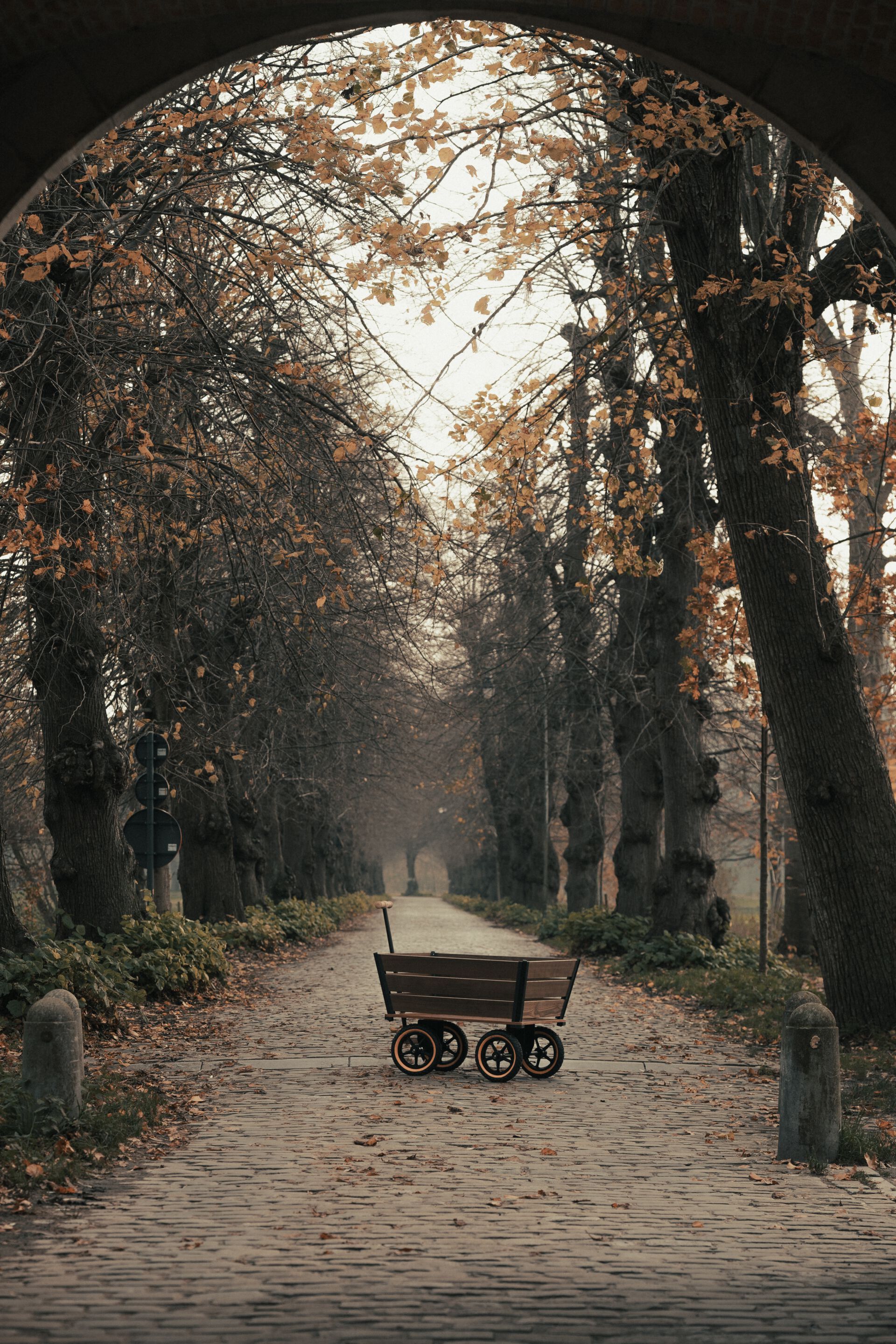 Садовая тележка TRADEWINDS THE PLANK WAGON ARCH-00043245 - Вид №24