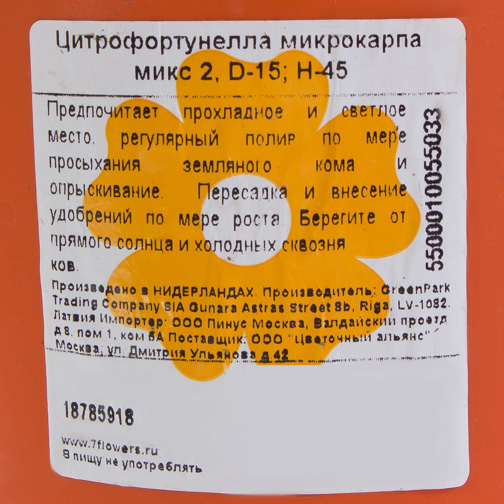 18785918 Цитрофортунелла «Микрокарпа» d15 h45 Santreyd  - Вид №2