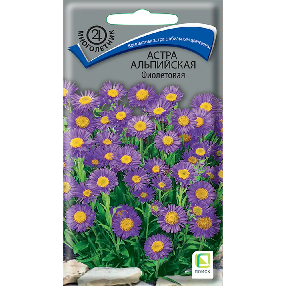 Астра альпийская Цитроненпринц от ПОИСК - солнечные многолетники для сада 89401249 STLM-1569965