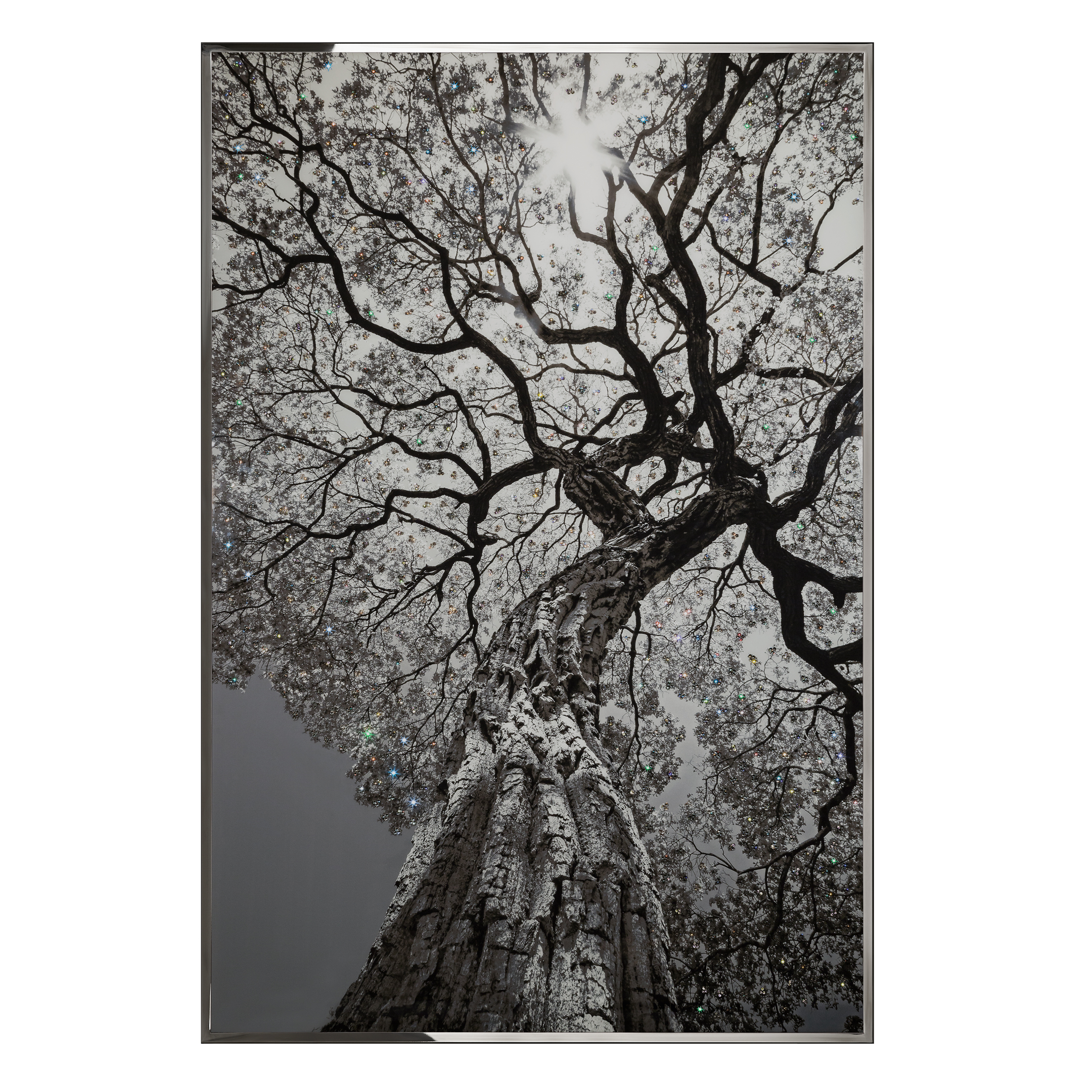 Arbor Смешанная техника Visionnaire  - Вид №1