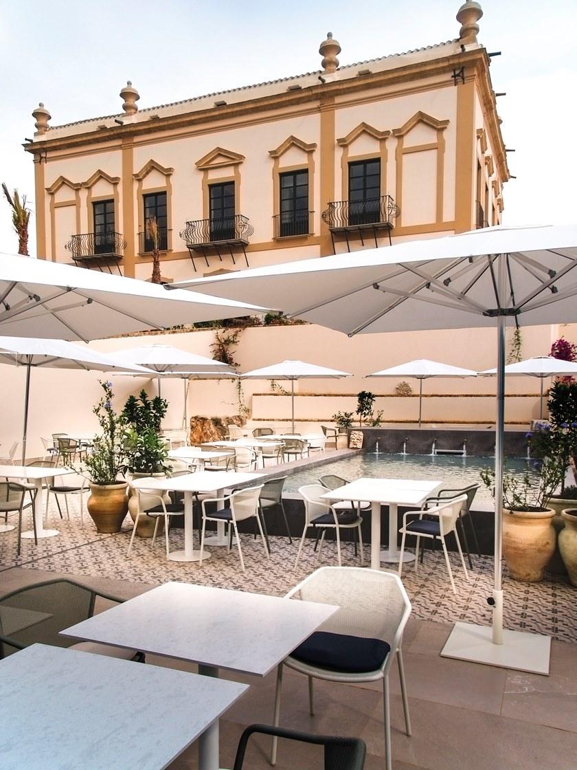 emu Darwin  521  - Вид №16