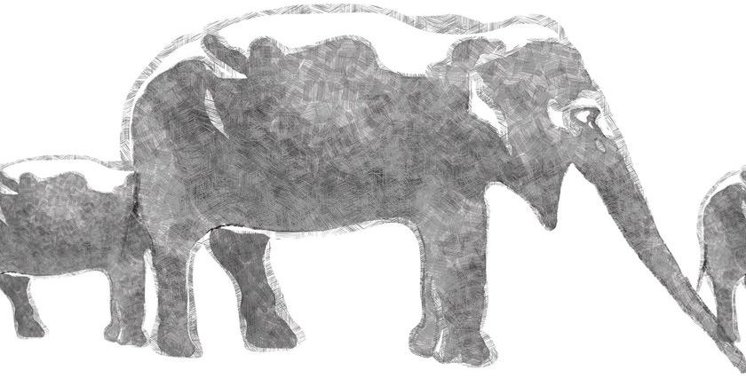 Wall&decò Снимок экрана Contemporary wallpaper 2011 sun-id-1455375 - Вид №2