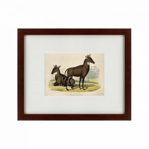 Литография на тонированной бумаге 42х52 см Two nilgais, 1830 КАРТИНЫ В КВАРТИРУ  135645 Бежевый;белый;черный;разноцветный