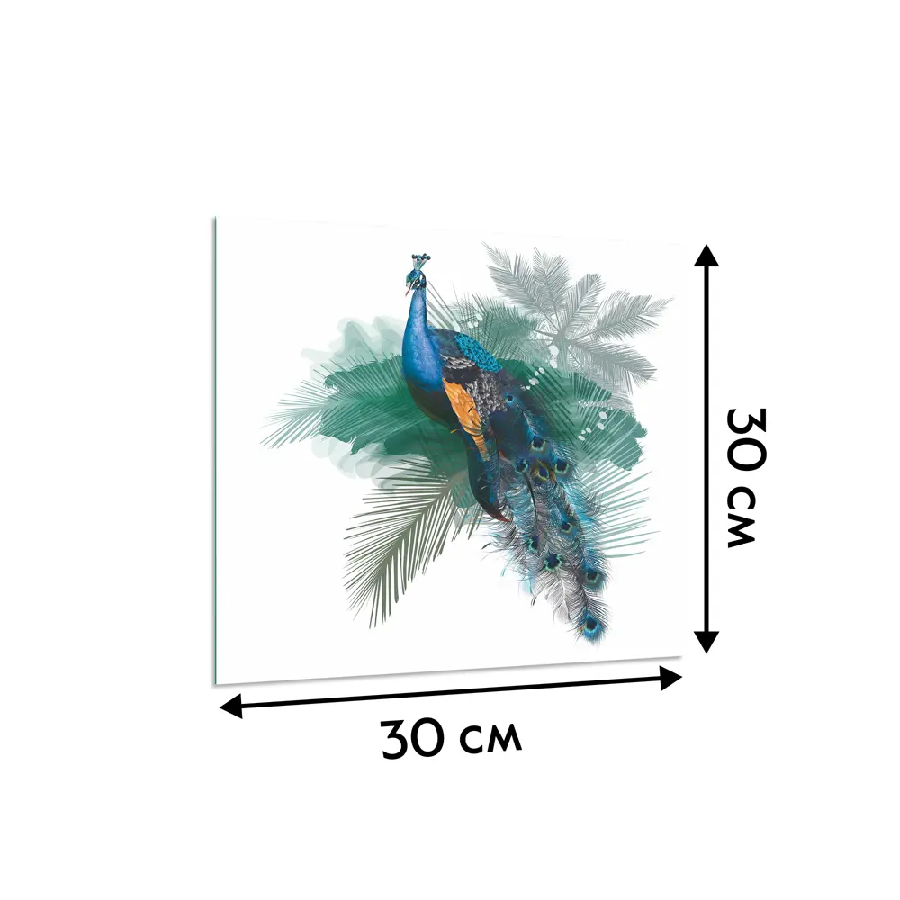Картина на стекле «Павлин» 30x30 см POSTERMARKET STLM-2166114 - Вид №4