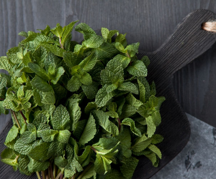 8504 Мята Вкусляндия  - Вид №1