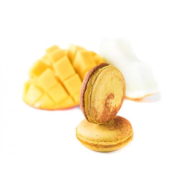 Макаронс манго-дыня CACAOJET 30 г Santreyd 34377