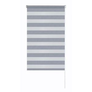 Рулонная штора день-ночь MIAMOZA Сиберия 60×160 см серая 89411454