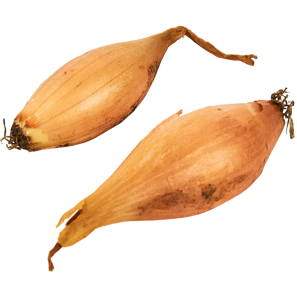 Лук севок Олина луковицы 12 0.5 кг ПОИСК STLM-2186837 - Вид №2