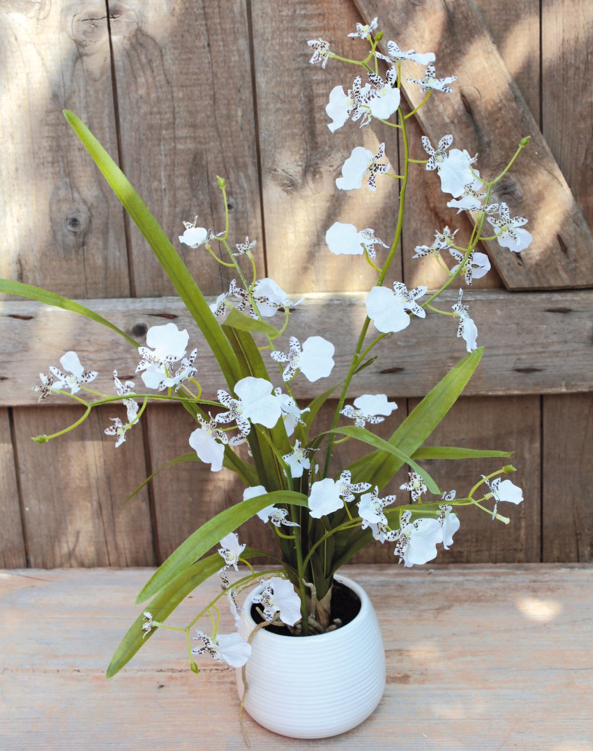 2516 778 a3 Синтетическая орхидея онцидиум, горшечная, 50 см, бежево-белая H-andreas  - Вид №2