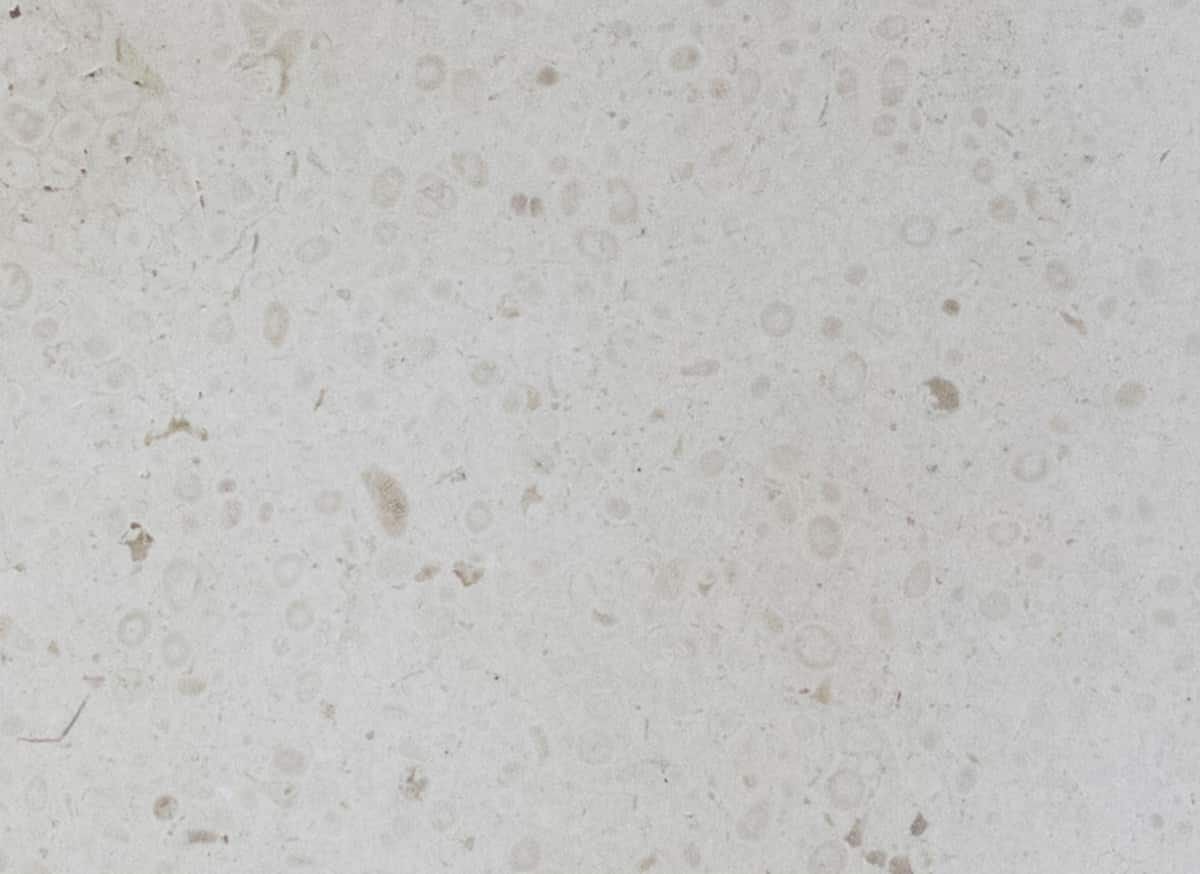 Круглый умывальник из натурального камня COCOON Maison ARCH-00005961 - Вид №9