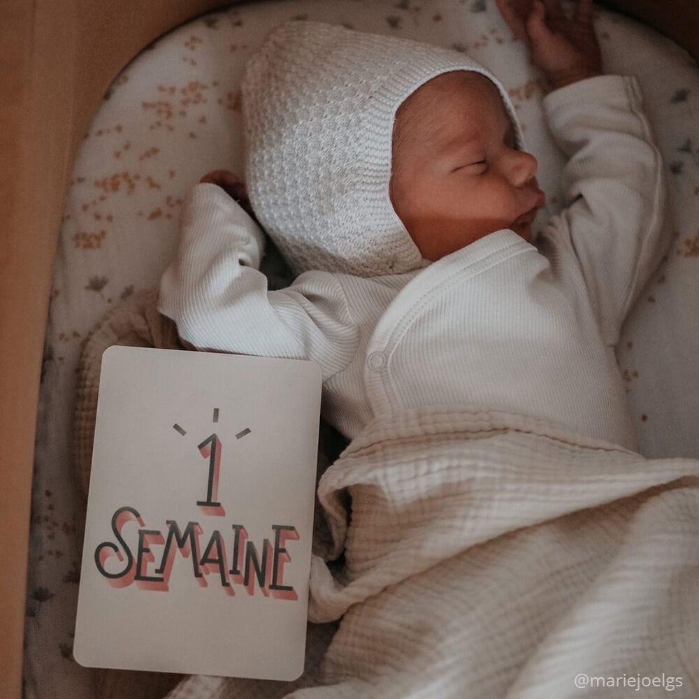 Набор из 24 карт Charlie Crane MY FIRST YEAR MILESTONE ARCH-00125799 - Вид №1