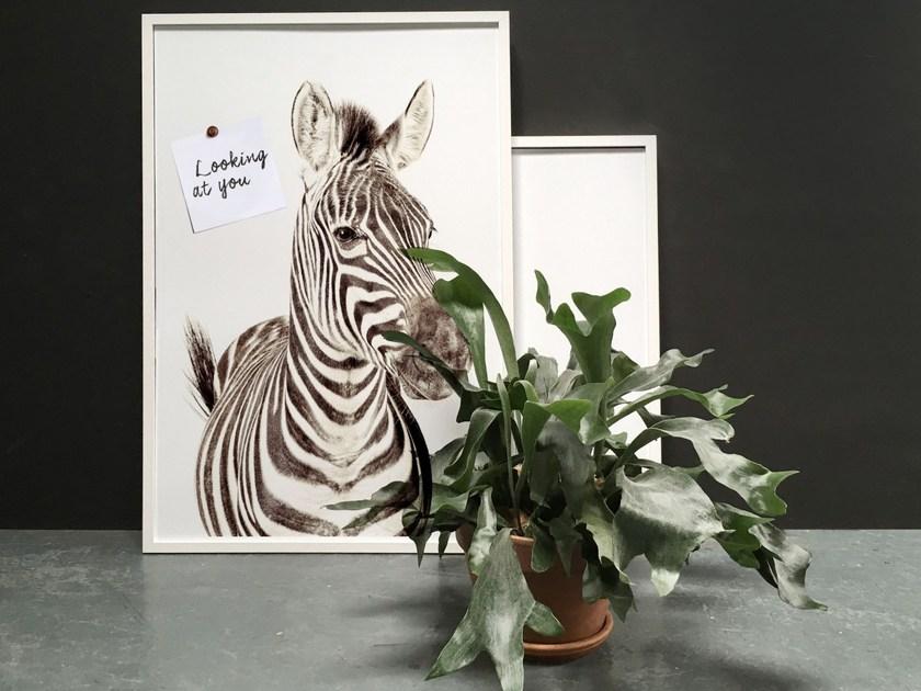 Groovy Magnets Магнитный плакат Animal Pos-62-z - Вид №4