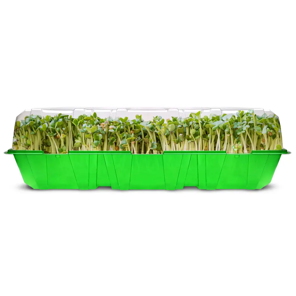 Мини-парник Газонcity полипропилен 44x21x8 мм STLM-2173491 - Вид №3