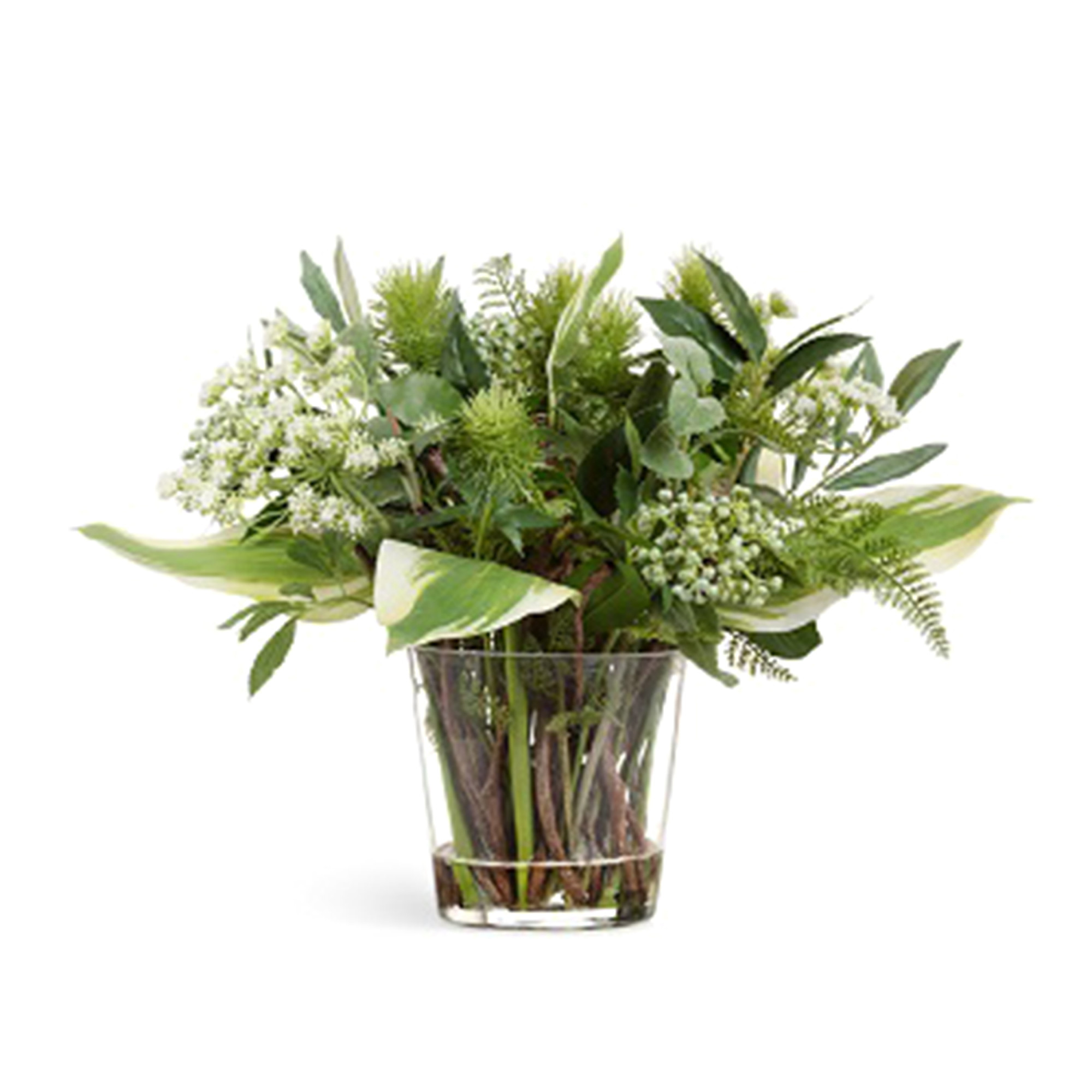 2000983190161 Композиция Green Lifestyle малая SERAX 