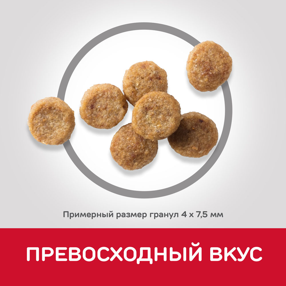 ПР0052083 Корм для собак HILL"S для мелких и миниатюрных пород от 7 лет, курица сух. 250г Hill's  - Вид №4