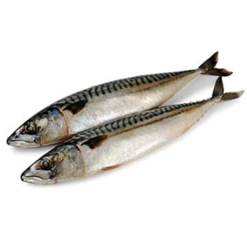 Скумбрия охлажденная ~600 г Santreyd 25720