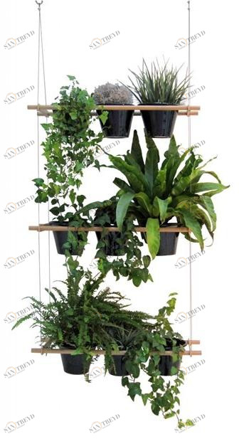 Compagnie Подвесной горшок Mobilier cultivé sun-id-1437131