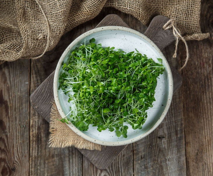 4680 Микрозелень брокколи Вкусляндия 