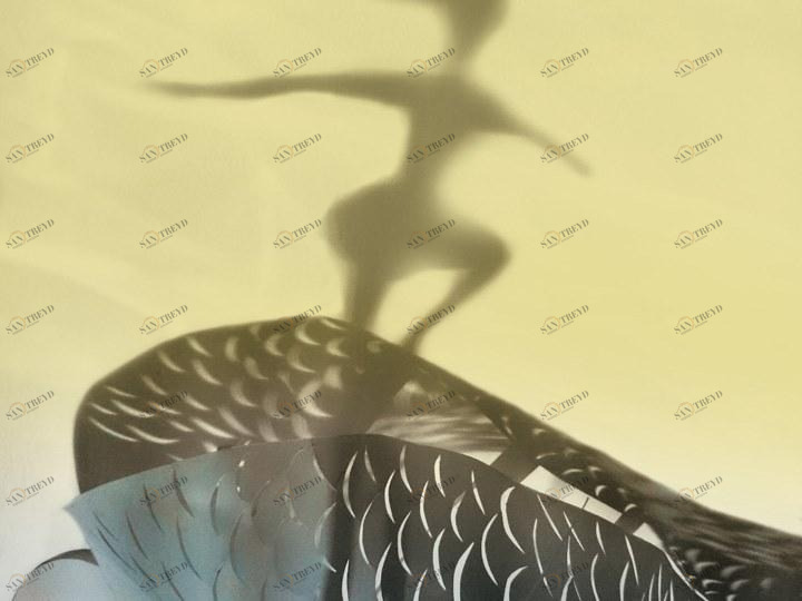 MOMENTI Авторский художественный принт Crazy home paintings Tz-004