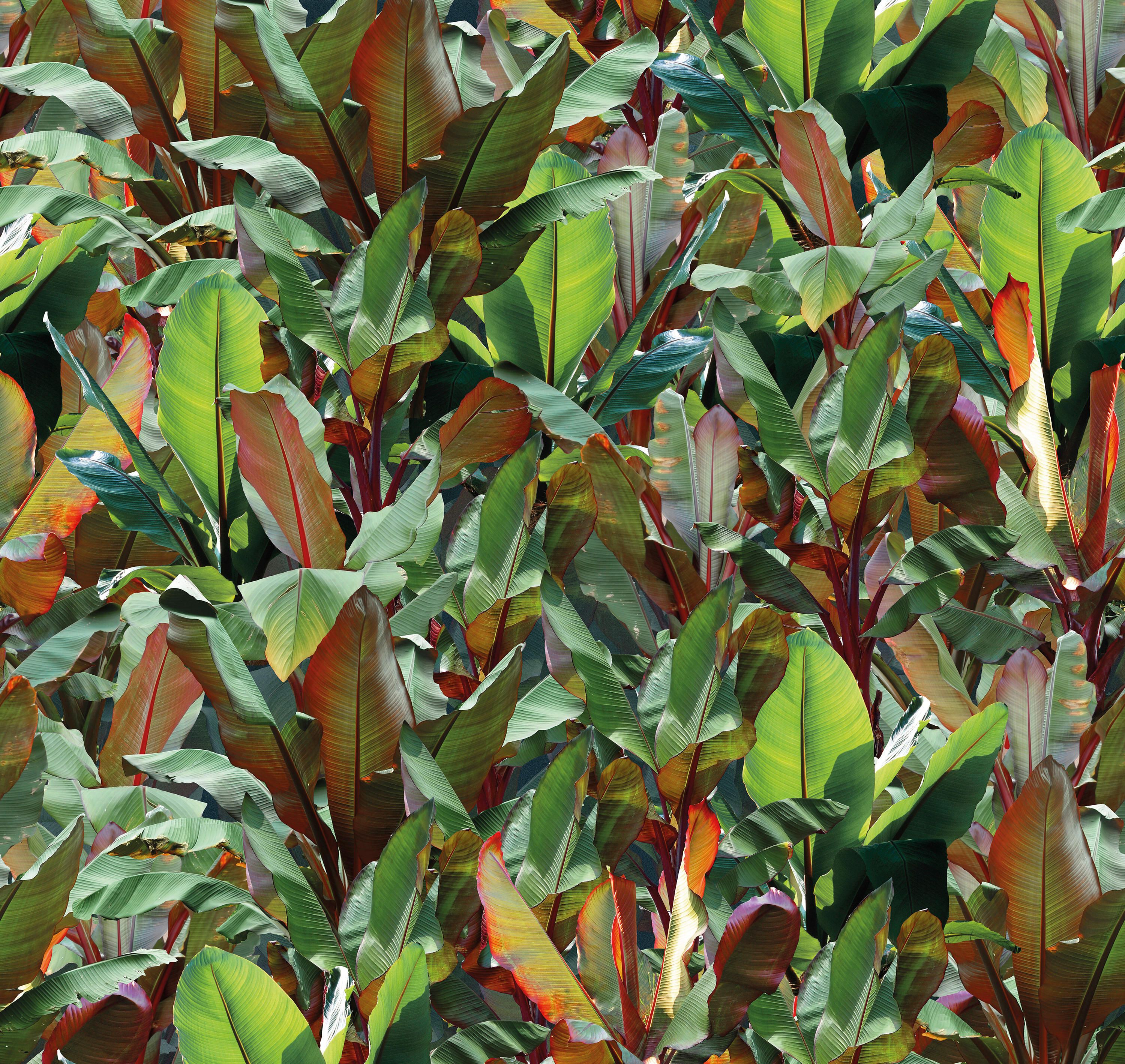 Виниловые обои Devon&Devon ARCH-00139698 - Вид №3