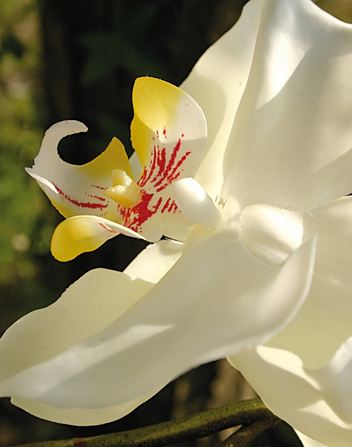 2832 778 a3 Пластиковая орхидея Phalaenopsis, горшечная, 100 см, real touch, бежево-белая H-andreas  - Вид №1