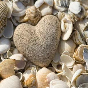 WP01050 Фотообои Verol Фотообои decoline 1х1 м