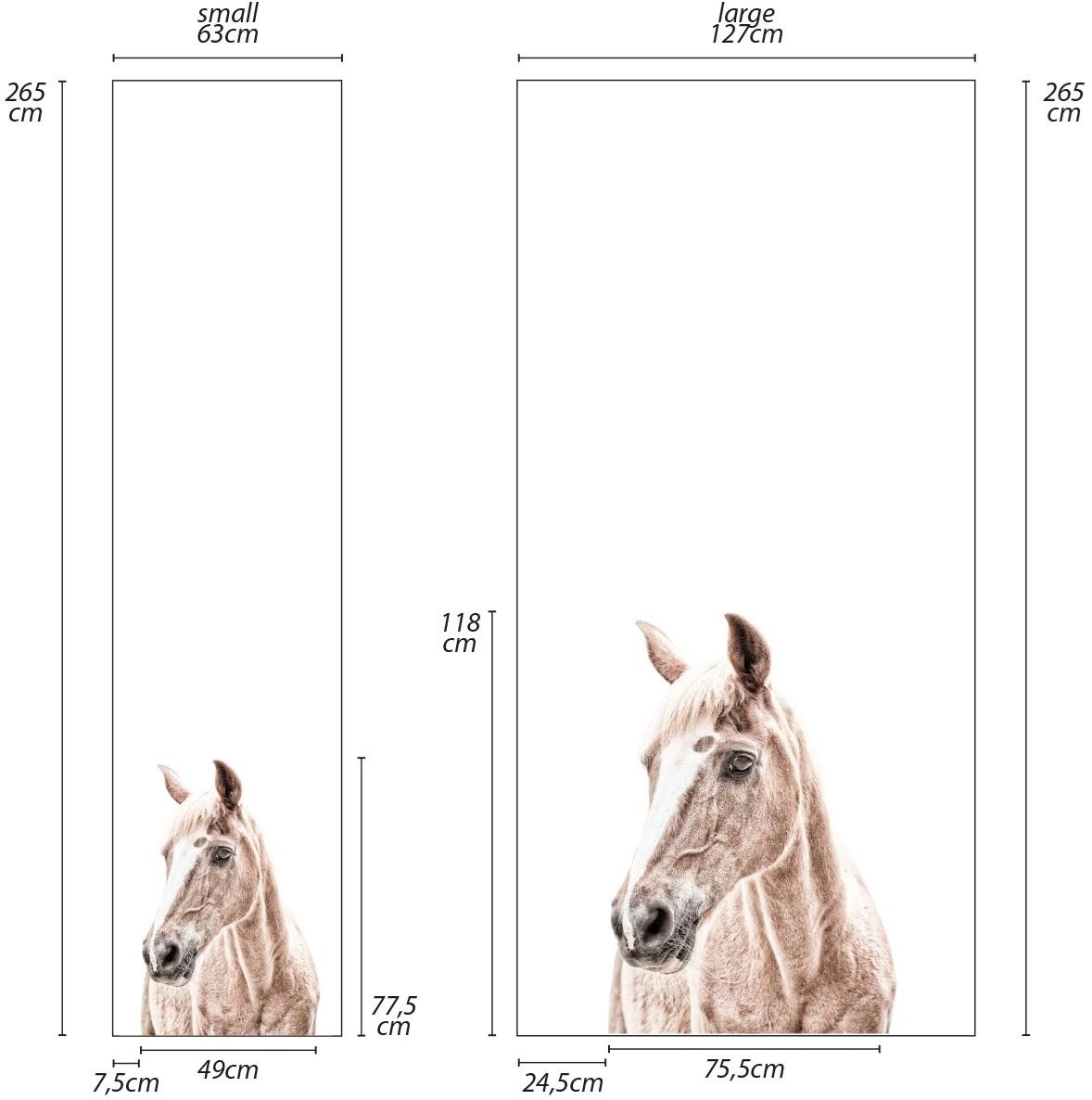 Groovy Magnets Обои с магнитным рисунком Animal sun-id-1405081 - Вид №6