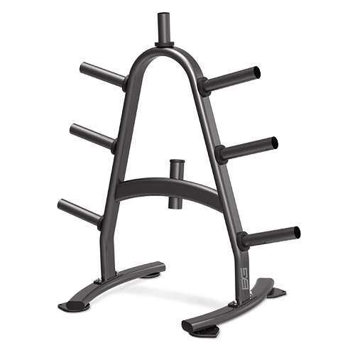 BR-1022 Bronze gym -1022 стойка для дисков Bronze Gym BR 