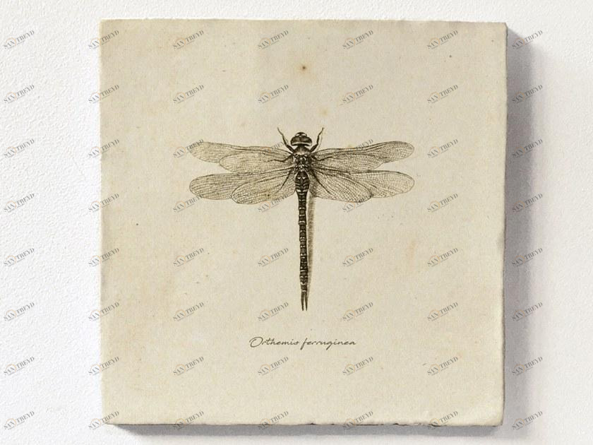 Groovy Magnets Настенный декоративный предмет из керамики Tiles M-tile-dr