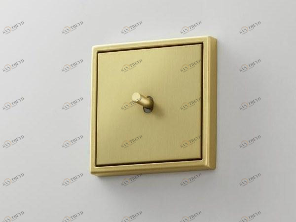 JUNG 1x латунный переключатель Ls 1912 sun-id-1373643